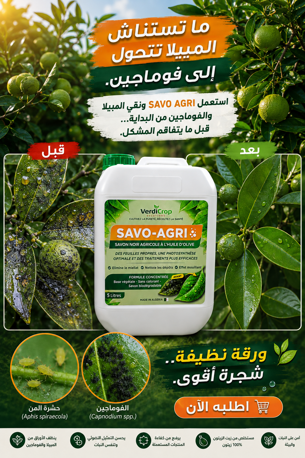 savon noir savo-agri